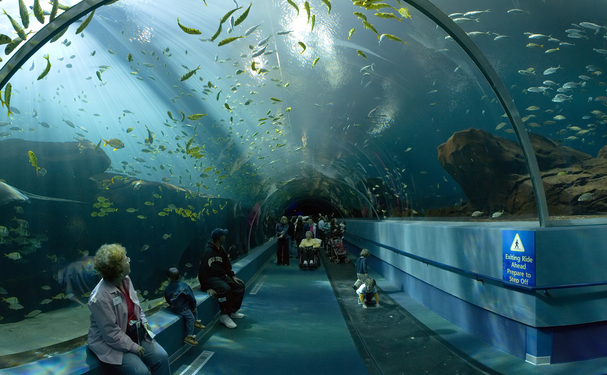 В туннеле публичного аквариума Georgia Aquarium, Атланта, США